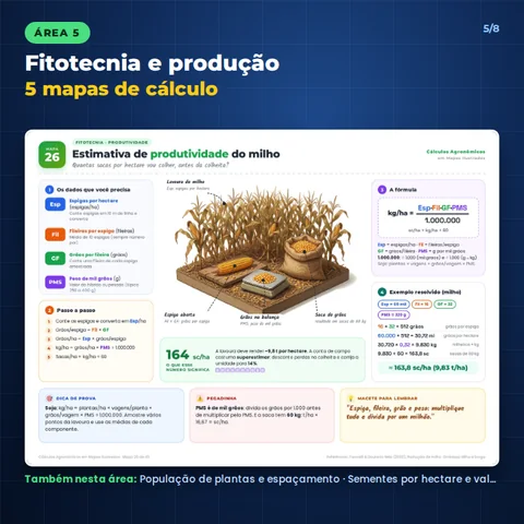 Área 5, Fitotecnia e produção, 5 mapas de cálculo: exemplo Estimativa de produtividade do milho