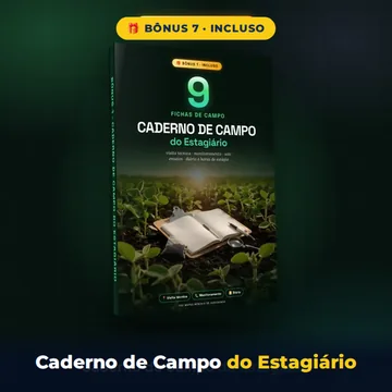 Bônus 7: Caderno de Campo do Estagiário
