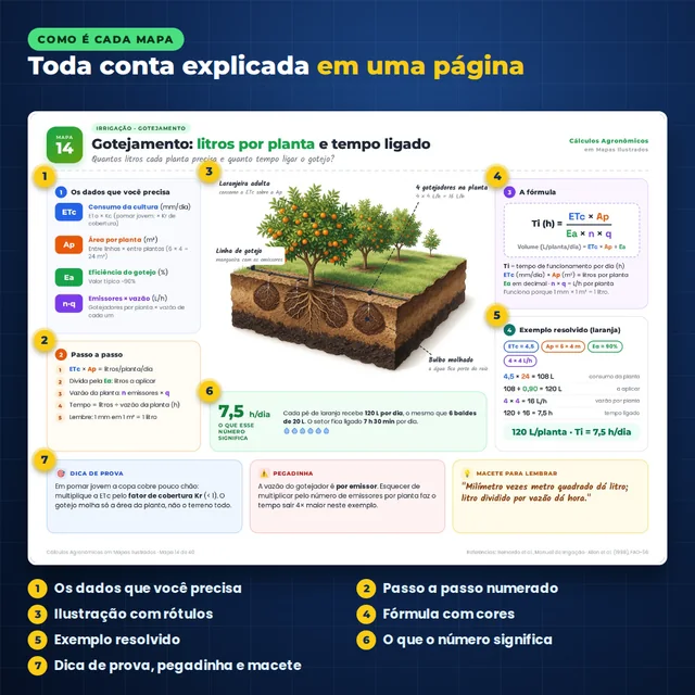 Exemplo real: mapa 14, Gotejamento, com os dados, passo a passo, ilustração rotulada, fórmula com cores, exemplo resolvido e dicas numerados de 1 a 7